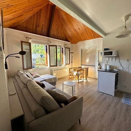 Appartement Borderes-Louron 1 A 3 Personnes 3 Etoiles, Proche Loudenvielle Exterior photo